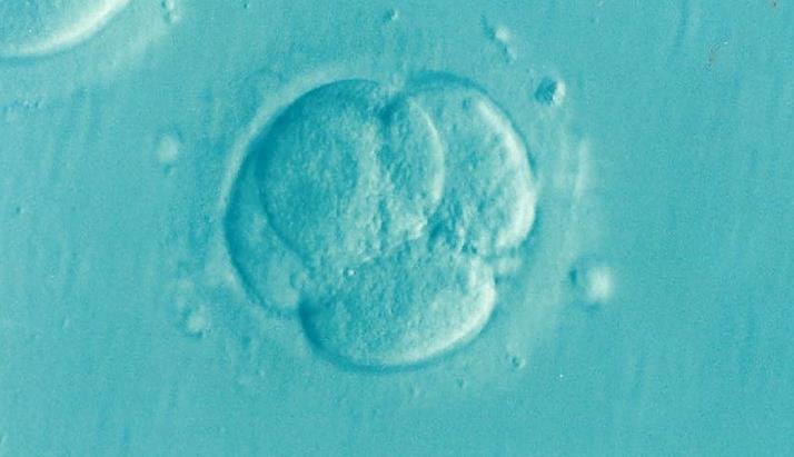India's first scientifically documented IVF baby